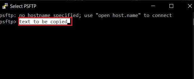 コピーするテキストをハイライト | パテでコピペする方法